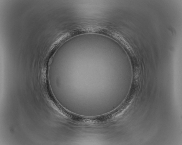 X0000111190585200907221111