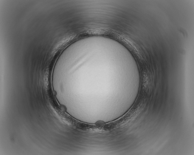 X0000111190586200907221111