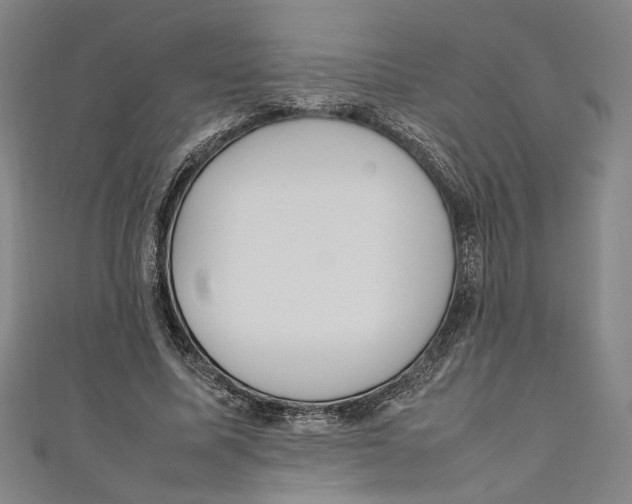 X0000111190587200907221111