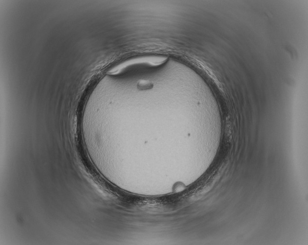 X0000111190589200907221111