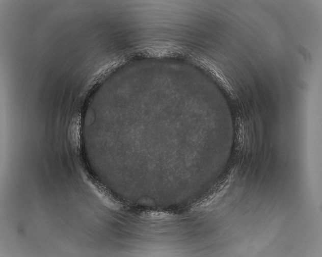 X0000111190590200907221111