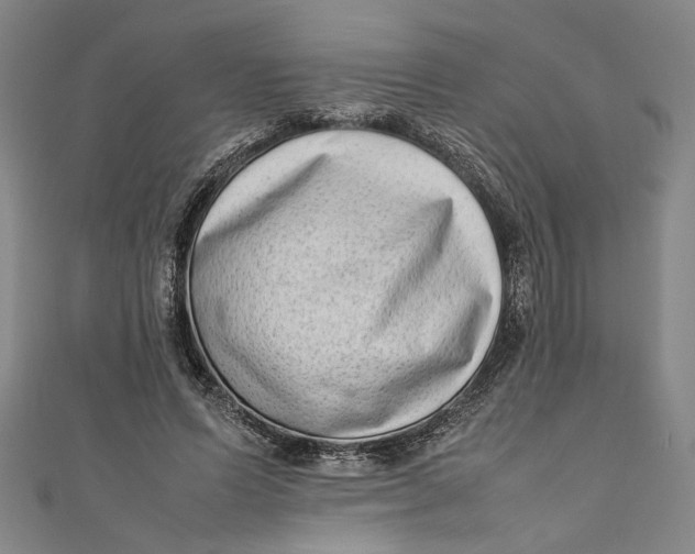 X0000111190591200907221111