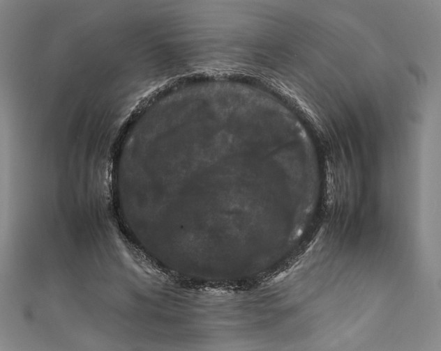 X0000111190592200907221111