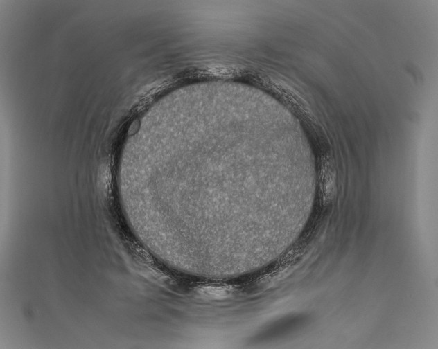 X0000111190595200907221111