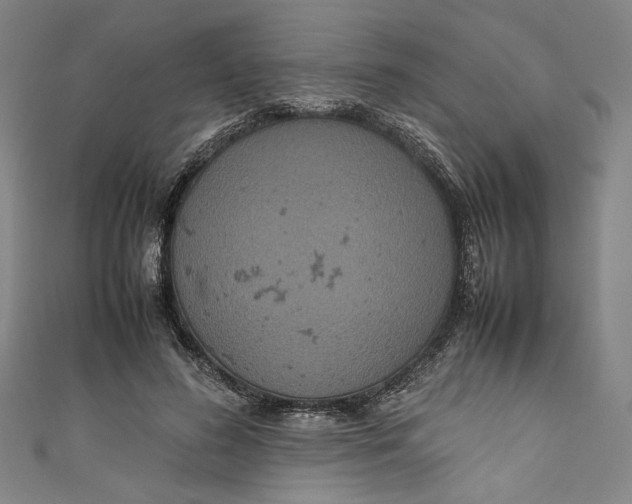 X0000111190596200907221111