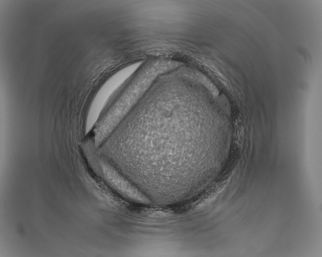 X0000111190597200907221111