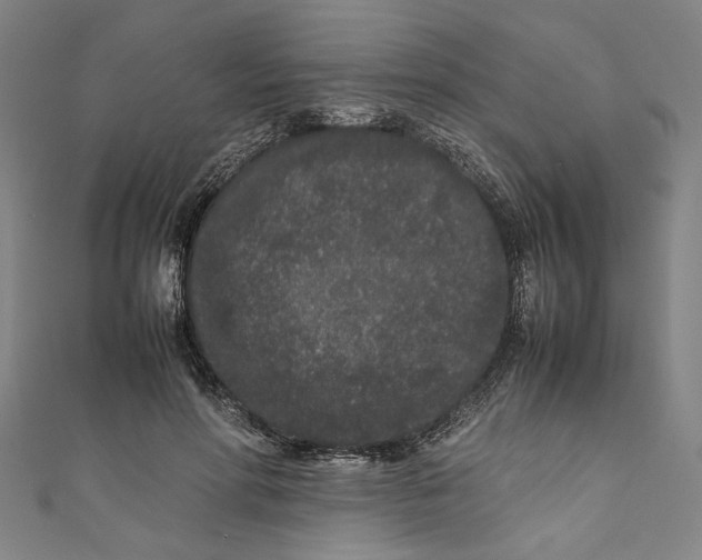 X0000111190598200907221111