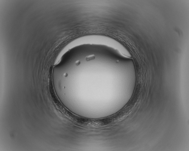 X0000111190599200907221111