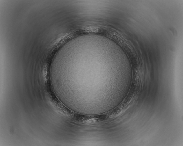 X0000111190600200907221111