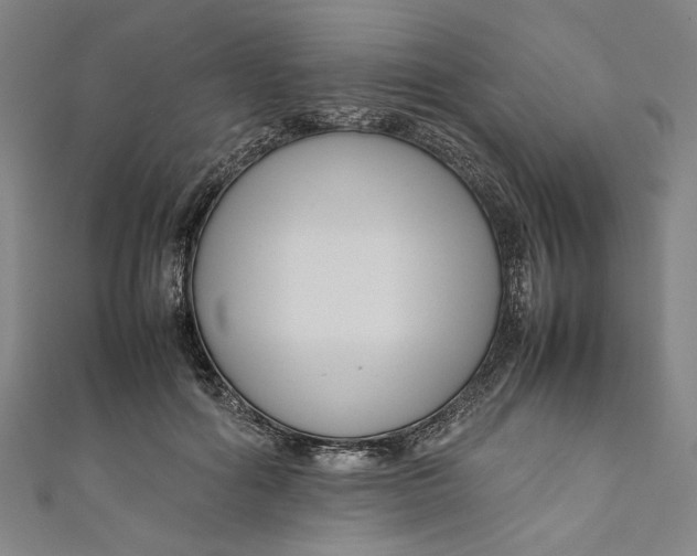 X0000111190602200907221111