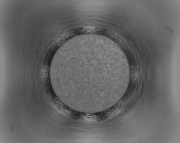 X0000111190603200907221111