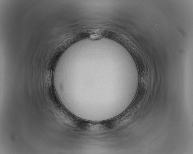 X0000111190605200907221111