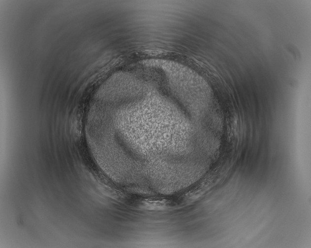 X0000111190606200907221111