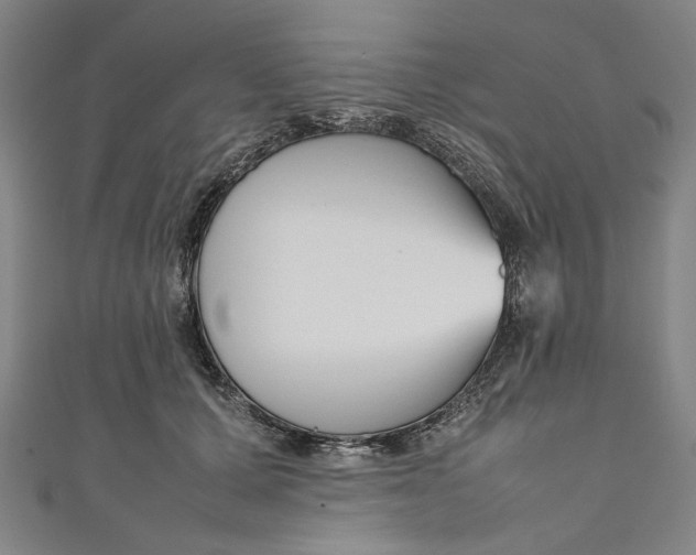 X0000111190607200907221111