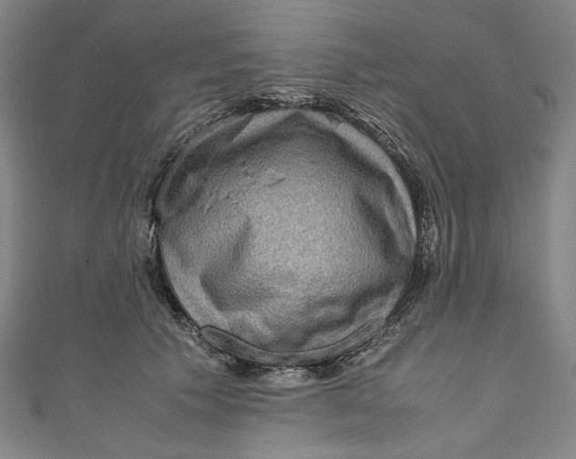 X0000111190609200907221111