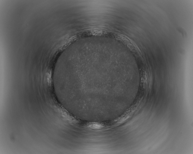 X0000111190610200907221111