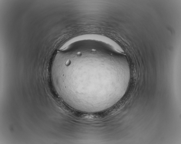 X0000111190611200907221111