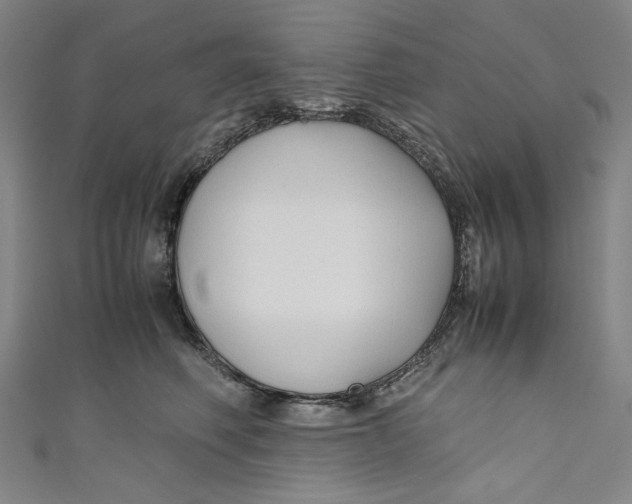 X0000111190614200907221111