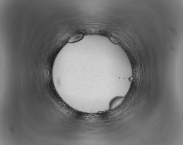 X0000111190615200907221110