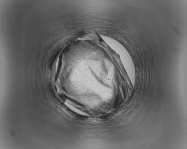 X0000111190617200907221110