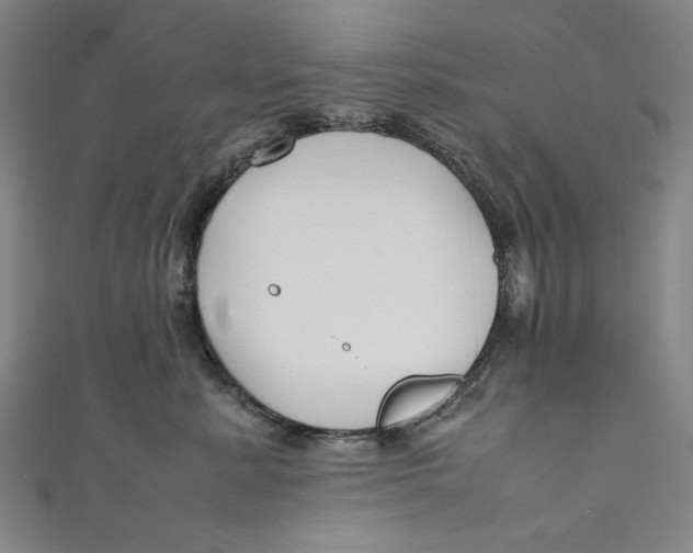 X0000111190619200907221110