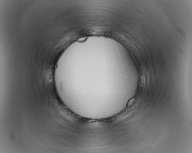 X0000111190620200907221110