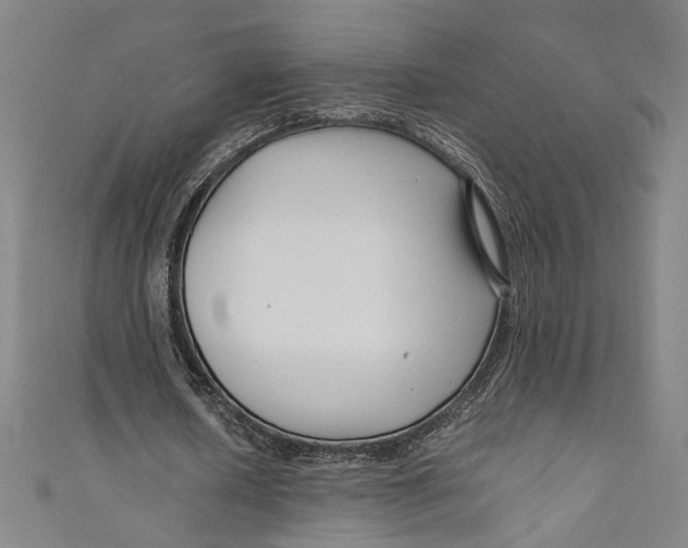 X0000111190626200907221110