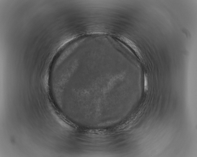 X0000111190627200907221110