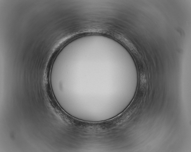 X0000111190628200907221110