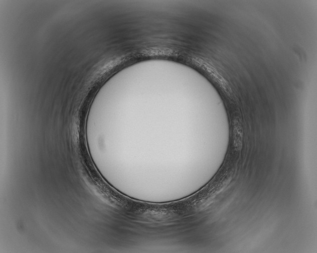 X0000111190631200907221110