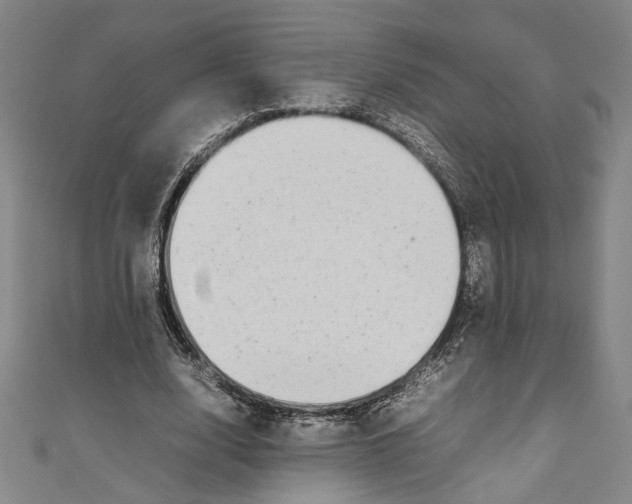 X0000111190632200907221110