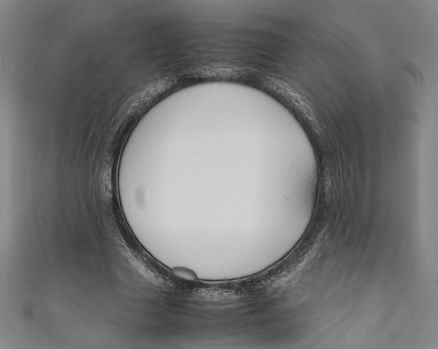 X0000111190633200907221110