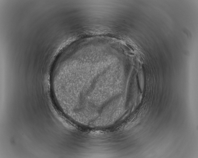 X0000111190634200907221110