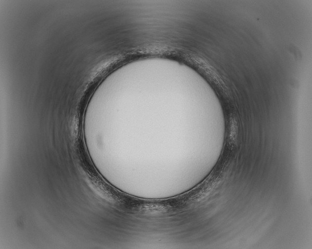 X0000111190636200907221110