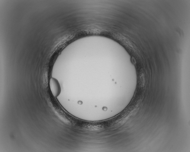 X0000111190638200907221110