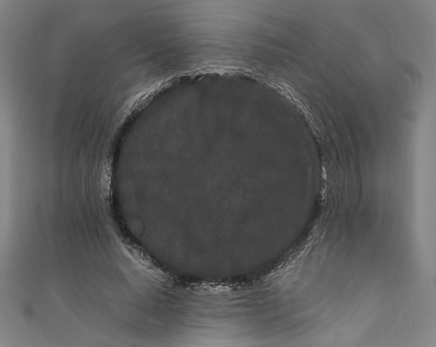 X0000111190640200907221110