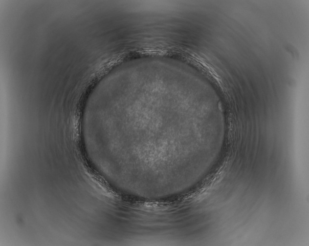 X0000111190641200907221110