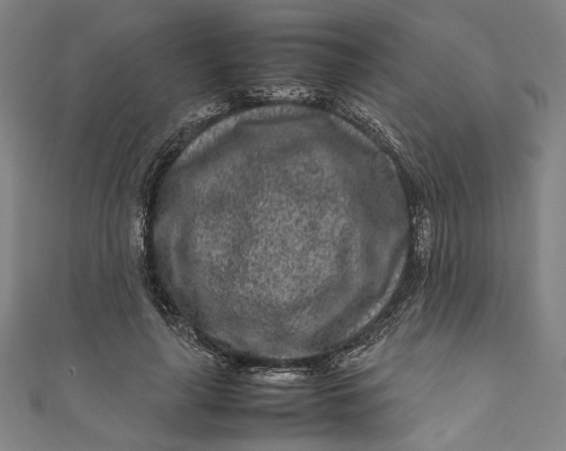 X0000111190643200907221110