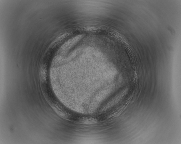 X0000111190644200907221110