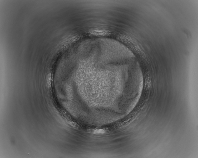 X0000111190647200907221110