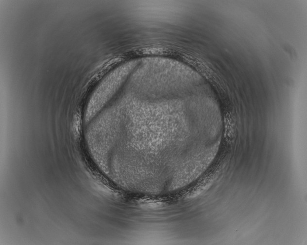 X0000111190648200907221110