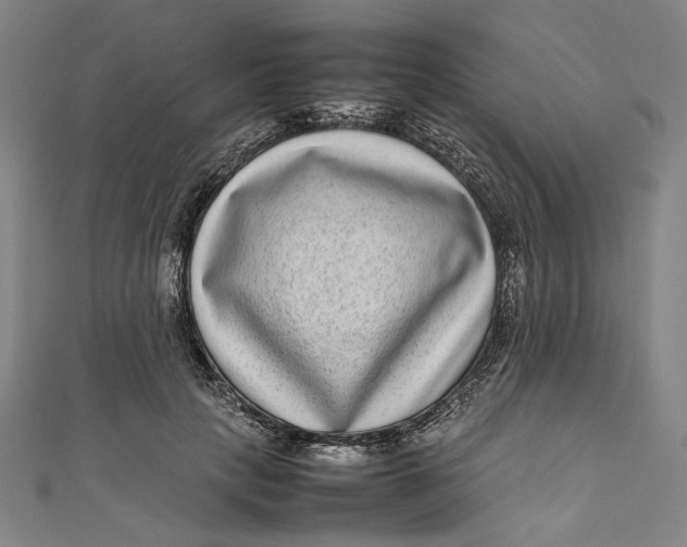 X0000111190649200907221110