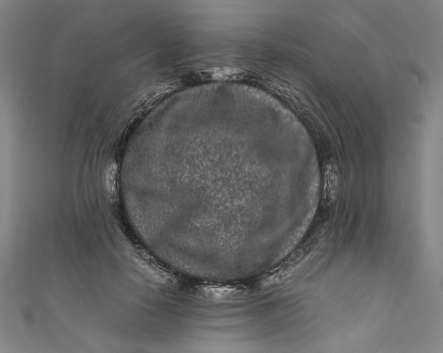 X0000111190650200907221110