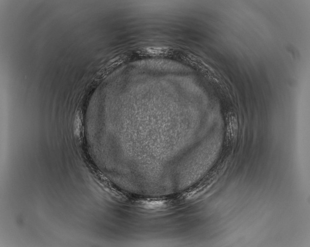 X0000111190651200907221110