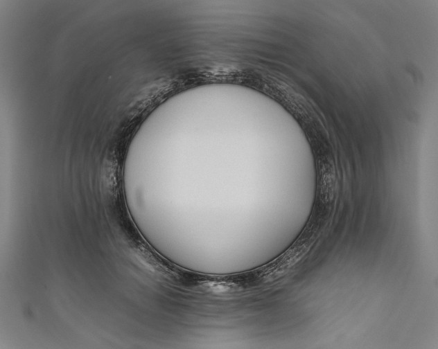 X0000111190654200907221110