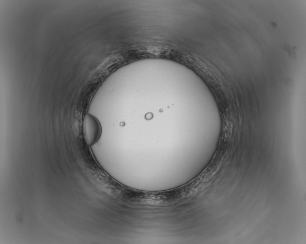 X0000111190656200907221110