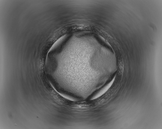 X0000111190657200907221110