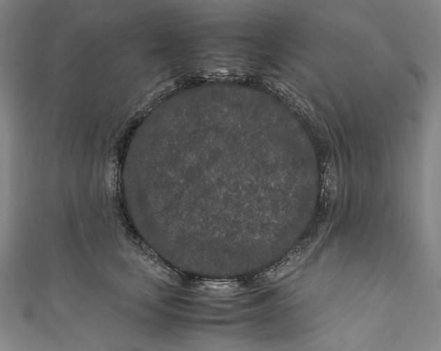 X0000111190659200907221110