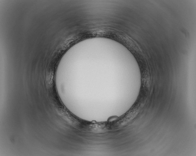 X0000111190660200907221110