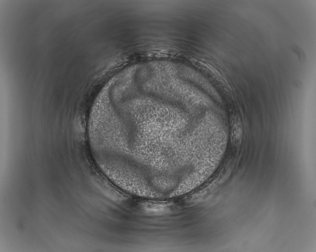 X0000111190661200907221110